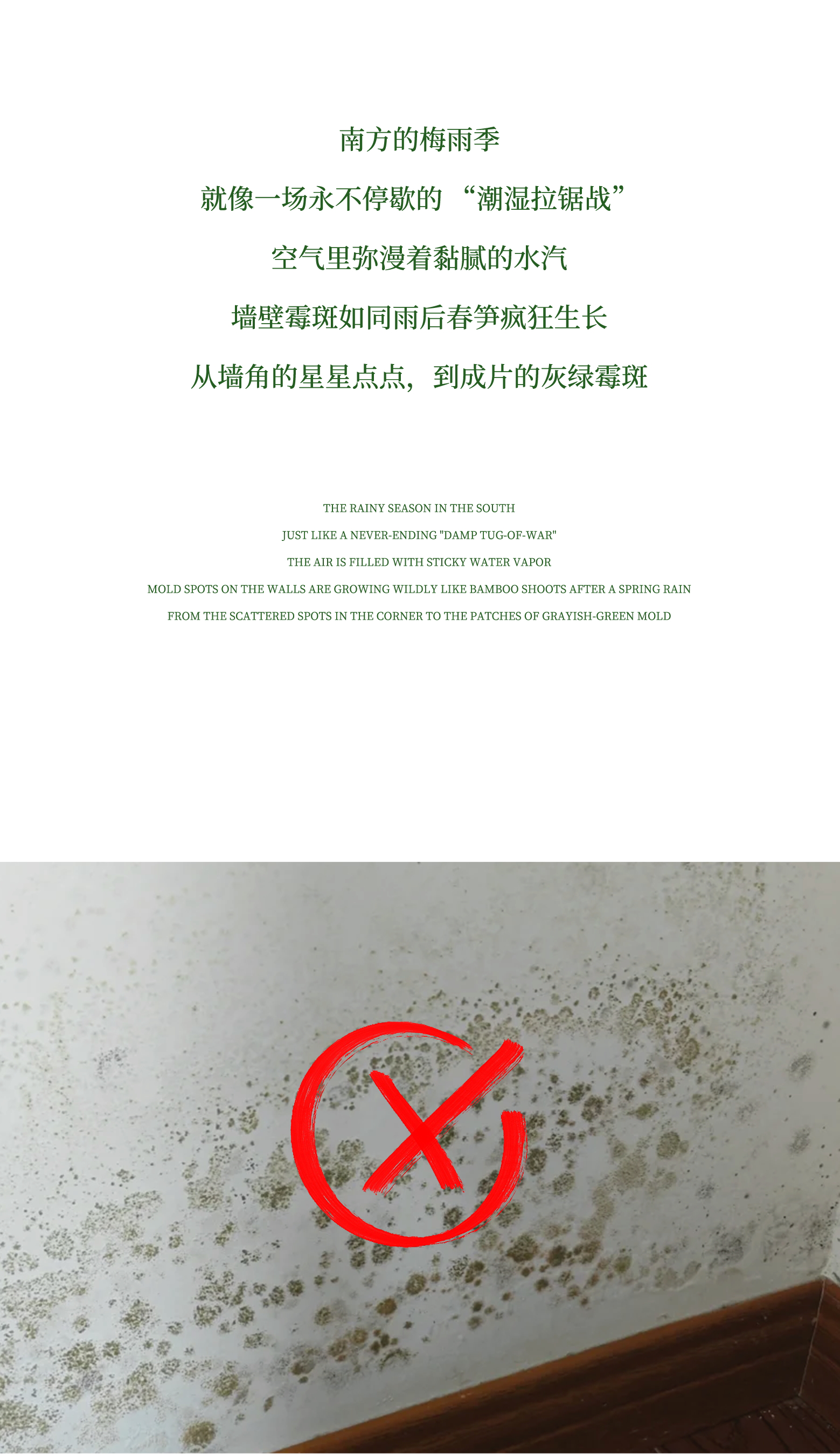 梅雨终结者：莫派石灰基涂料的3重防霉革命(图3)